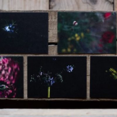 Capture d’écran 2023-08-29 à 17.40.38